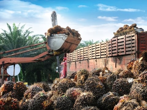 Cuadernos y hojuelas de maíz se maquilarán en Ecuador, efecto a favor de pugna comercial con Colombia