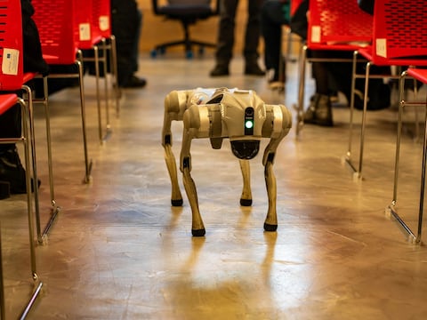 Alquilar un perro robótico para salir de paseo o jugar: ¿cuánto pagan en China a diario para tener uno?