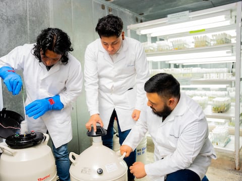 ¿Qué es la ‘Bóveda del fin del mundo’? A donde Ecuador envió 800 muestras de semillas de chocho, maíz, quinua y amaranto