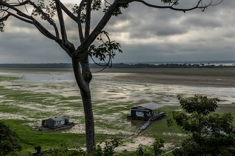 El Amazonas, en alerta crítica: científicos advierten que la selva podría colapsar incluso si se frenan las temperaturas