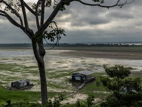 El Amazonas en alerta crítica: Científicos advierten que la selva podría colapsar incluso si se frenan las temperaturas