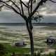 El Amazonas en alerta crítica: Científicos advierten que la selva podría colapsar incluso si se frenan las temperaturas
