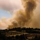 Encuentran cuerpos de 27 supuestos migrantes víctimas de los incendios en el noreste de Grecia