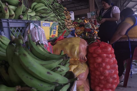 En busca de soluciones a escasez y precios del plátano: Cadena productiva espera mesa técnica para el 27 de junio