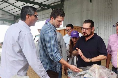 El precio del arroz, una de las dificultades del sector, exponen representantes de la cadena en mesa territorial