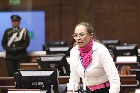 Pierina Correa, legisladora saliente: Me voy de la política porque no puedo darme el lujo de quedarme sin trabajo