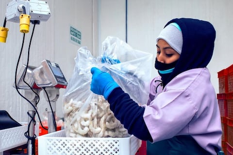 Falta de contenedores refrigerados pone en apuros a sector camaronero que ha reducido su capacidad de despacho