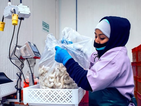 Falta de contenedores refrigerados pone en apuros a sector camaronero que ha reducido su capacidad de despacho