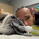 Lewis Hamilton deja sus compromisos con Ferrari para atender a su perro Roscoe: Está en coma, no sabemos si despertará