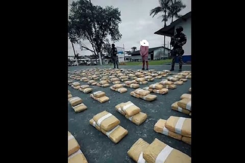 Incautan 719 paquetes de marihuana ocultos en camioneta que circulaba por Santo Domingo de los Tsáchilas