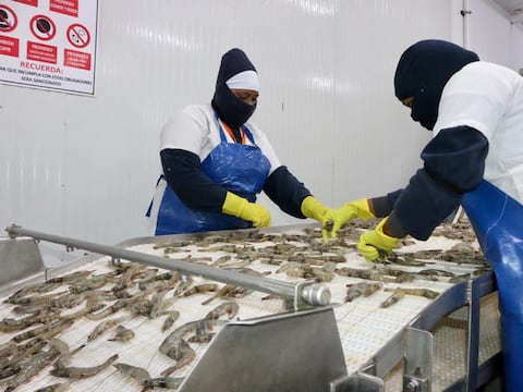 Una nueva tasa a insumo que utiliza la industria camaronera suma $ 4 millones al año a sus costos de producción