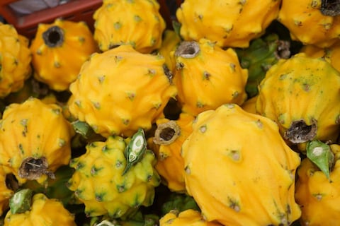 Sin sobretasa del 15 % se mejoran márgenes y precios de pitahaya en Estados Unidos