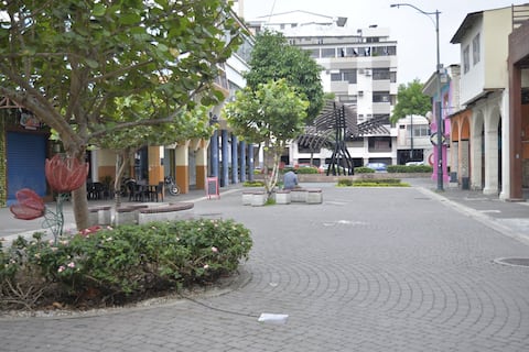 ‘La gente a veces ni se acerca por el olor’: comerciantes alertan de problemas en la calle Panamá que afectan a clientes