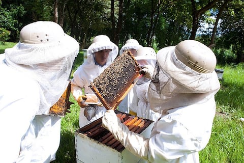 200 apicultores del país reunidos en Riobamba