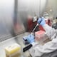 Ecuador no registra casos de hantavirus, asegura el Ministerio de Salud Pública; vigilancia epidemiológica se mantiene