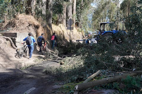 Condonación de intereses y plazos mayores se analizan como medidas de ayuda a productores afectados por paro indígena
