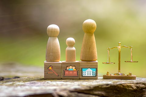 Cómo es el proceso para demandar y fijar una pensión de alimentos