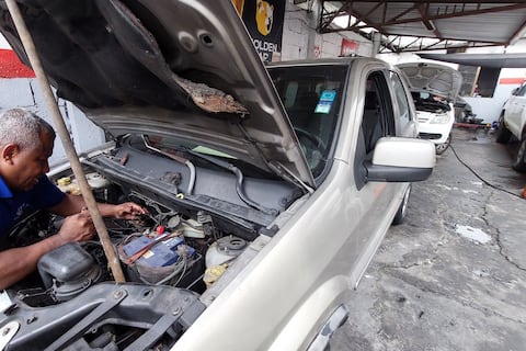 ‘Revisar frenos y llantas puede evitar siniestros’: las recomendaciones de los mecánicos para manejar con lluvias en Guayaquil