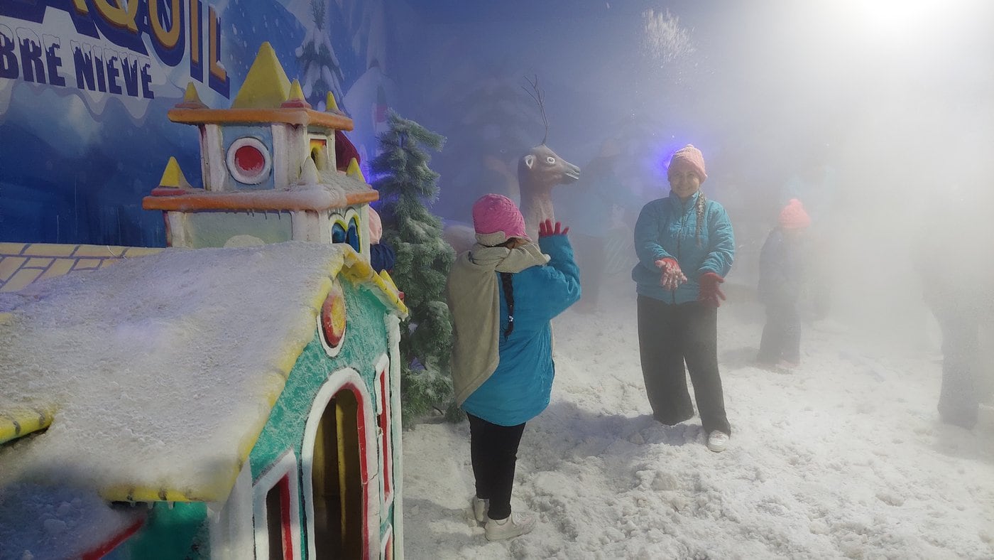 Descargar Sueñacon El Invierno Junto A Elsa | Wallpapers.com, image size:1400x788