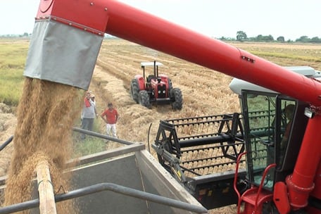 Estos son los productos ecuatorianos que tendrán 30 % de arancel en Colombia