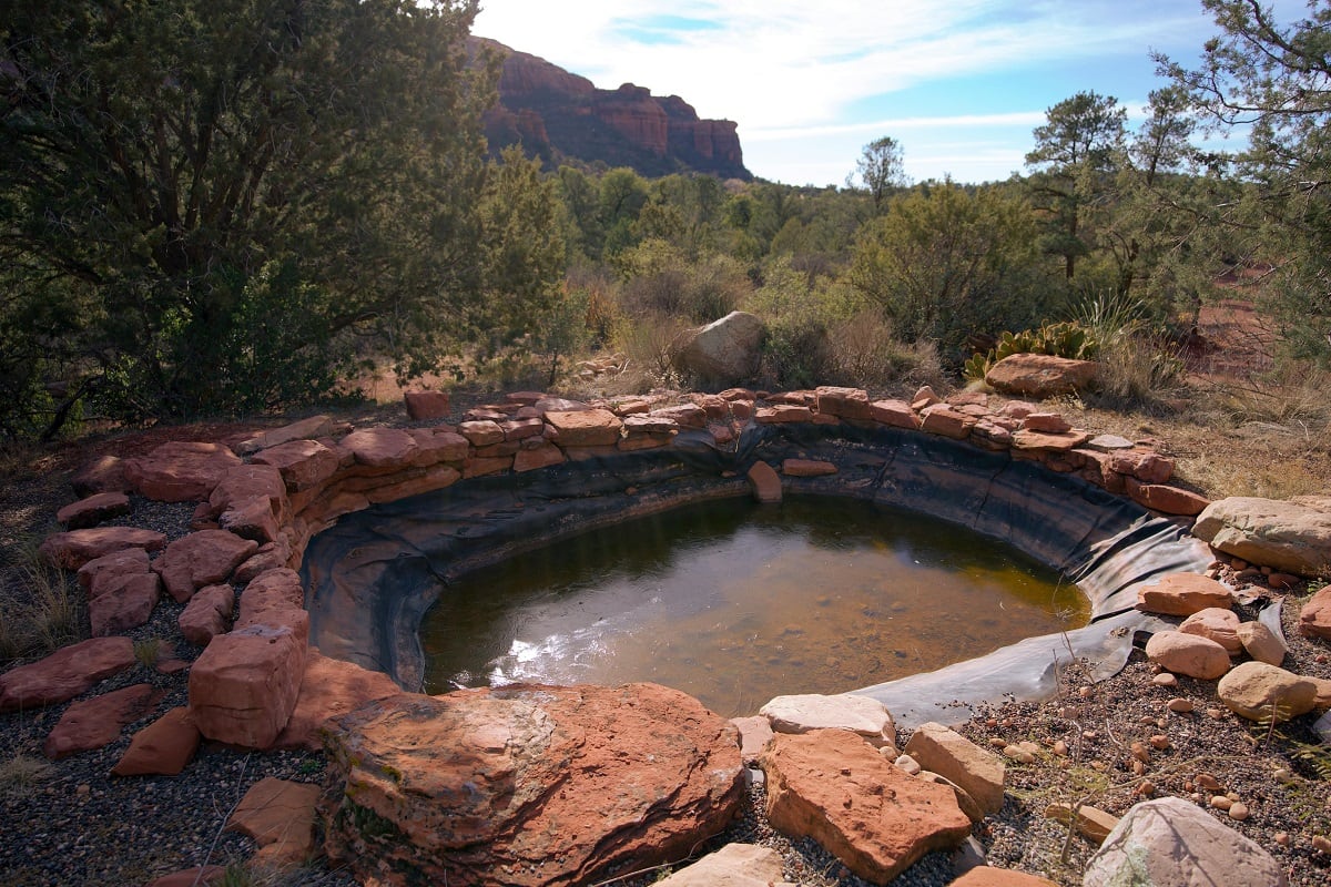 Cuándo empieza la primavera en Arizona y qué día debes cambiar la hora ...