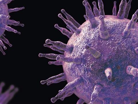 El mayor avance científico contra el virus de la ‘enfermedad del beso’: crean los anticuerpos definitivos para prevenir el cáncer y la esclerosis