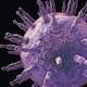 El mayor avance científico contra el virus de la ‘enfermedad del beso’: crean los anticuerpos definitivos para prevenir el cáncer y la esclerosis