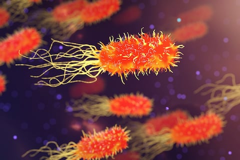 La vida se impone: investigadores encuentran bacterias comunes en uno de los lugares más contaminados por radiación de la Tierra y no es Chernóbil