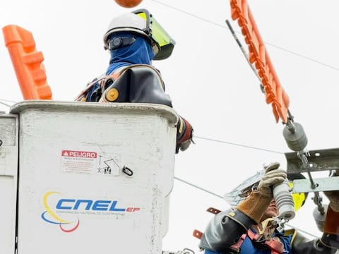 CNEL, la cuarta mayor empresa pública del país, empañada por denuncias de corrupción y otras controversias