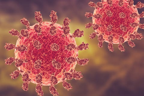 Qué es el virus Nipah y por qué preocupa a las autoridades sanitarias