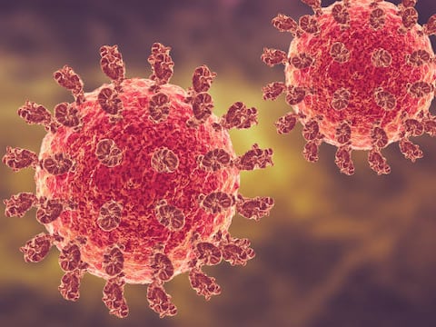 Qué es el virus Nipah y por qué preocupa a las autoridades sanitarias