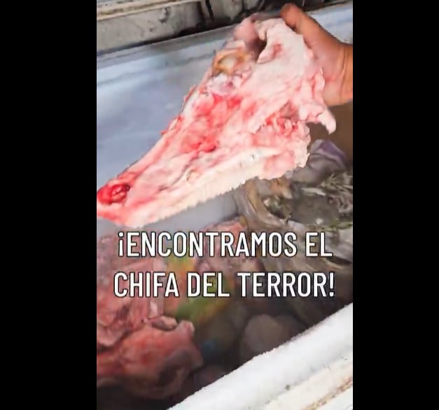 En chifa del centro de Guayaquil se detectan cráneos de animal ‘no identificado’: Arcsa lo clausuró