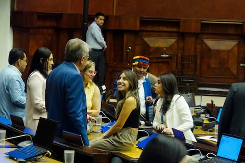 Correísmo presenta proyecto para delimitar alcance de la cooperación eficaz