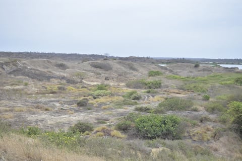 Joven compradora de terreno desiste y pide a municipio de La Libertad adjudicar 93 hectáreas a empresa