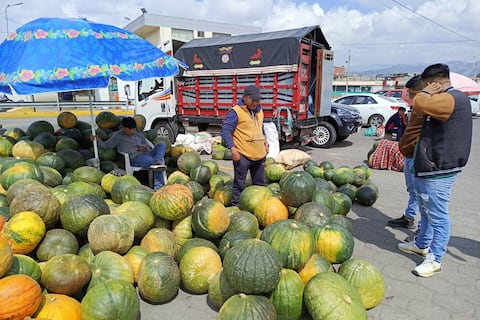 Las heladas de 2025 redujeron el 50% la producción de zapallo para fanesca: comerciantes explican por qué los precios se mantienen regulares