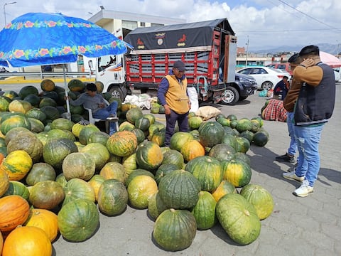 Las heladas de 2025 redujeron el 50% la producción de zapallo para fanesca: comerciantes explican por qué los precios se mantienen regulares