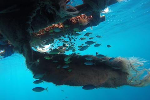 Una industria con propósito: el desafío de producir sin afectar la salud de los océanos