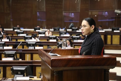 CNE muestra a la Asamblea Nacional avance del proceso electoral y ocho provincias ya tienen el material para las elecciones del 9 de febrero de 2025