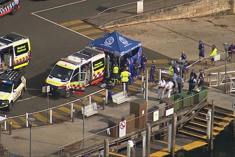 Niño de 12 años es gravemente herido por un tiburón en playa de Sídney