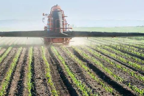 Aporte científico para alimentar al mundo