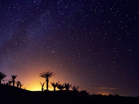 Descubren nuevo dinosaurio en el desierto del Sáhara con detalles inéditos sobre su evolución