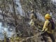 Ocho incendios forestales se mantienen activos en Chimborazo, Tungurahua y Loja este domingo, 18 de octubre