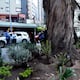 Nueva frecuencia de recolección de basura en la avenida República de El Salvador y Carolina por foco de plaga de roedores