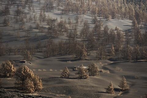 Repunta actividad sísmica de la isla española La Palma con terremoto de 2,9