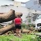 ‘Lo que hice fue tratar de proteger a mi hijo y salir’: vecinos cuantifican daños por caída de árbol que afectó casa y automotores en la Alborada