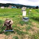 Ojos rojos y aullidos metálicos: el perturbador lobo mecánico con IA que patrulla los campos de Japón para cazar osos