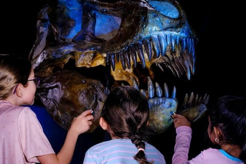 Una noche en el Museo de Historia Natural: la pijamada que todos esperaban regresa a Nueva York en esta fecha