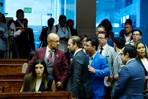 ADN propone fiscalizar compra de 60 troles eléctricos realizada por alcalde Pabel Muñoz sin subasta pública