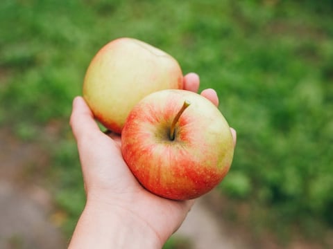 Cuidado al organizar tu frutero: Este es el poder oculto de la manzana