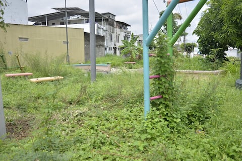 En zonas del norte de Guayaquil se pide más desbroce y fumigación en parques por temporada de lluvias